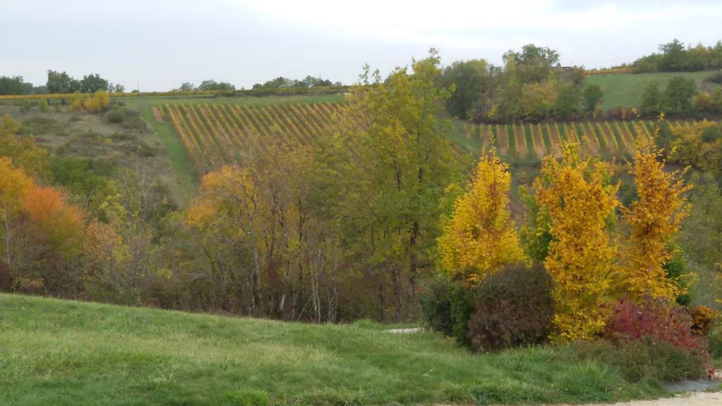 Les Hauts D'Albas Albas (Lot) Quarto foto