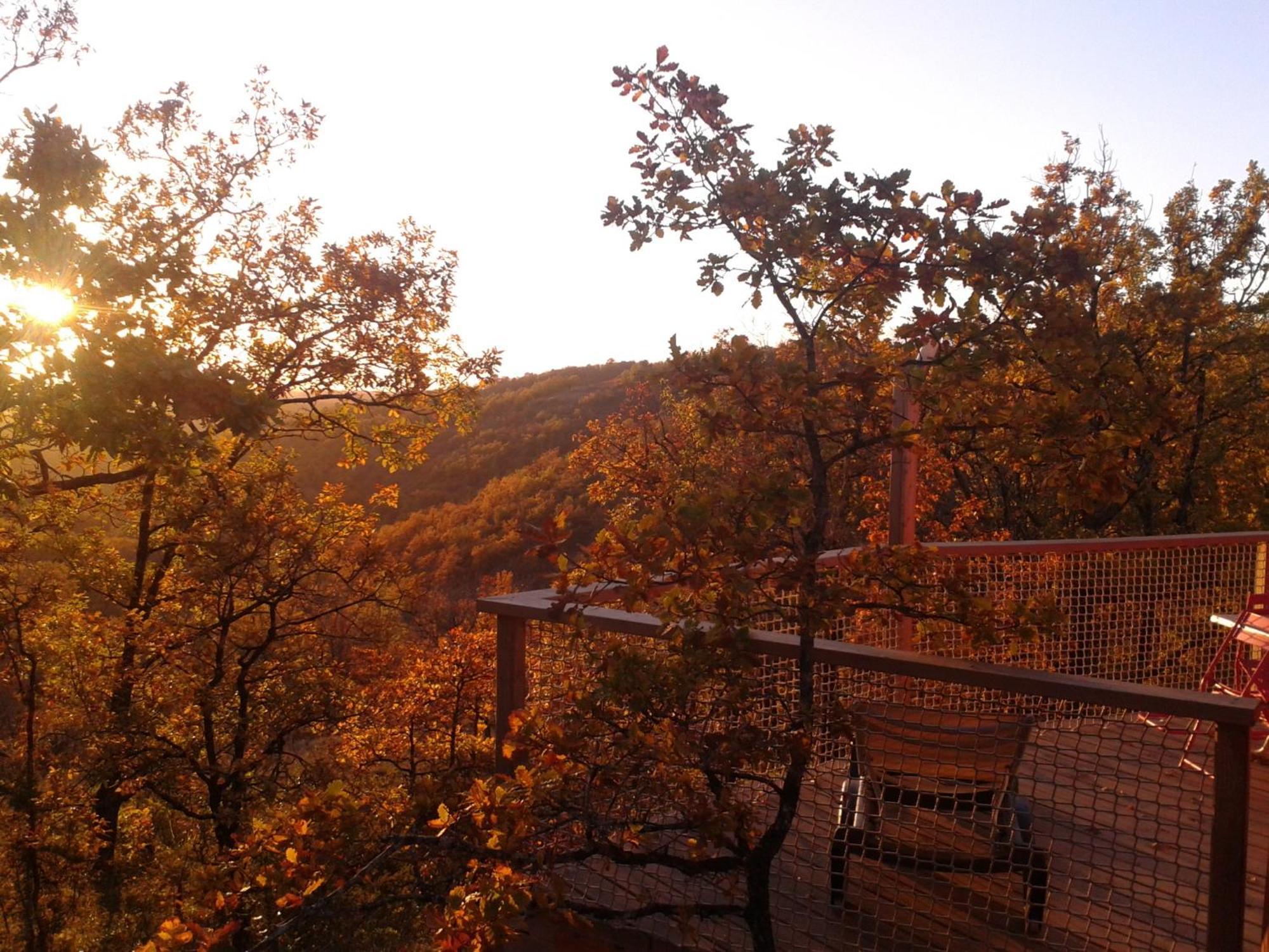 Les Hauts D'Albas Albas (Lot) Quarto foto