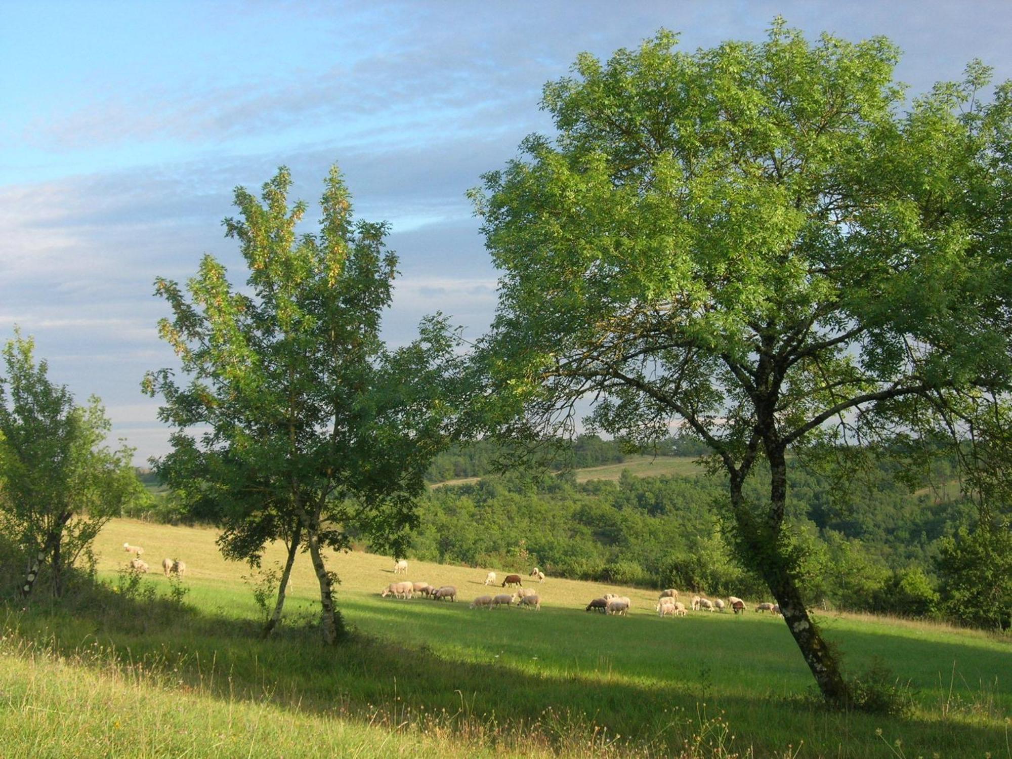 Les Hauts D'Albas Albas (Lot) Quarto foto